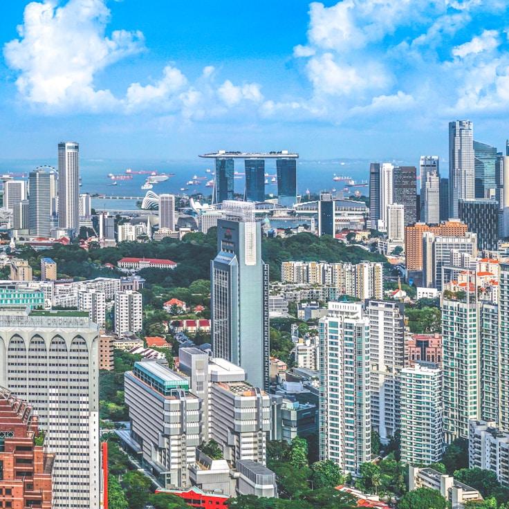 Family routine and school logistics in Springfield